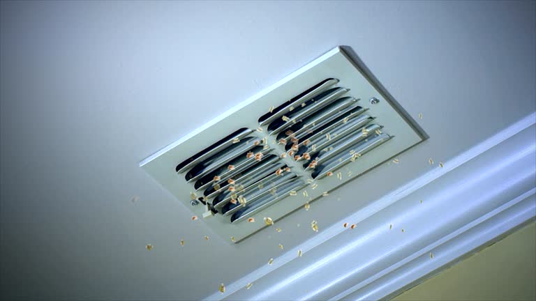 Best HVAC Air Duct Cleaning  in Rio Linda, CA