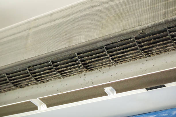 Best Duct Cleaning for Homes  in Rio Linda, CA